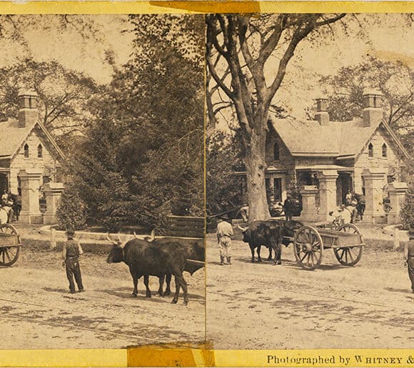 Gate House, Lockwood-Mathews Mansion, 1865 | Albumen Silver Print | Whitney & Beckwith | 84.XC.979.9019 | Getty Museum